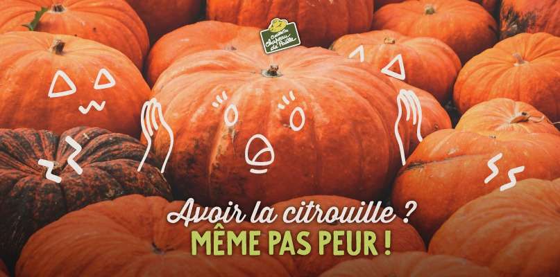 Les Courges : Délices de l'Automne