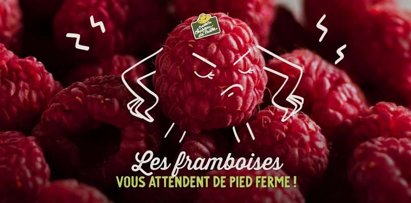 chapeau de paille Framboise